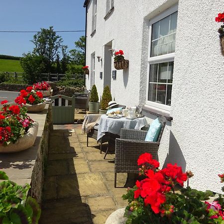 Yr Hen Felin - The Old Mill B&B Morfa Nefyn Exteriör bild