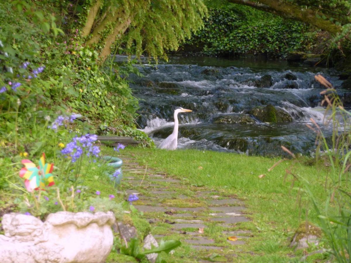 Yr Hen Felin - The Old Mill B&B Morfa Nefyn Exteriör bild
